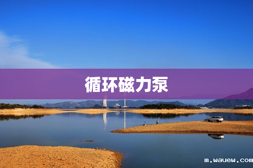 循环磁力泵 循环磁力泵