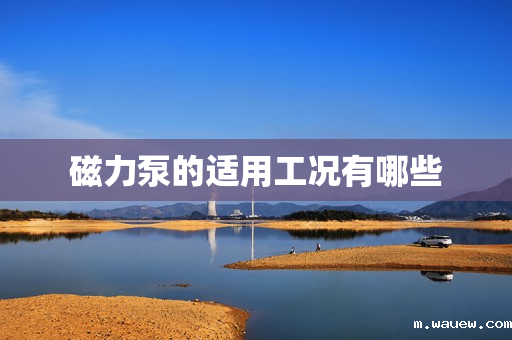 磁力泵的适用工况有哪些 磁力泵的适用工况有哪些