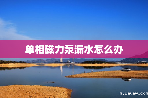 单相磁力泵漏水怎么办 单相磁力泵漏水怎么办