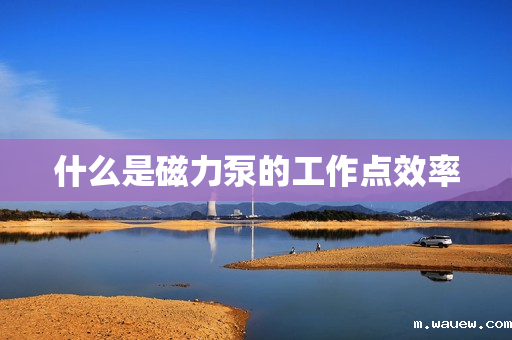 什么是磁力泵的工作点效率 什么是磁力泵的工作点效率