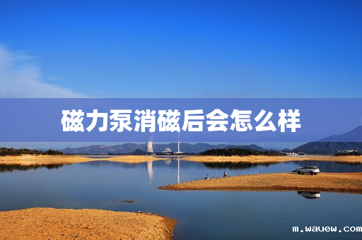 磁力泵消磁后会怎么样 磁力泵消磁后会怎么样