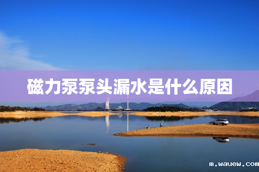 磁力泵泵头漏水是什么原因 磁力泵泵头漏水是什么原因