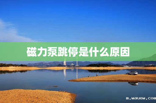 磁力泵跳停是什么原因 磁力泵跳停是什么原因