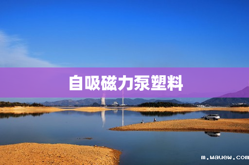 自吸磁力泵塑料 自吸磁力泵塑料