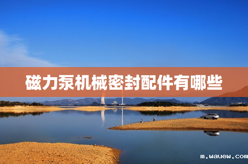 磁力泵机械密封配件有哪些 磁力泵机械密封配件有哪些