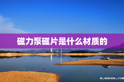 磁力泵磁片是什么材质的 磁力泵磁片是什么材质的