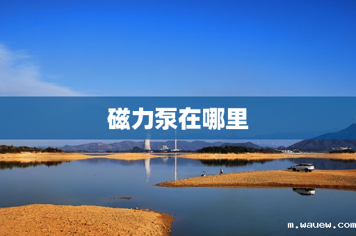 磁力泵在哪里 磁力泵在哪里