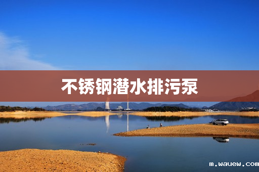 不锈钢潜水排污泵 不锈钢潜水排污泵