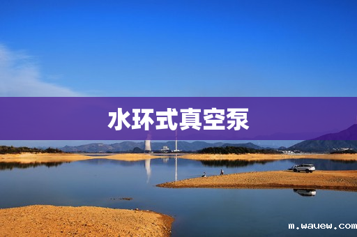 水环式真空泵 水环式真空泵