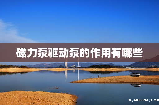 磁力泵驱动泵的作用有哪些 磁力泵驱动泵的作用有哪些