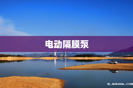 电动隔膜泵 电动隔膜泵