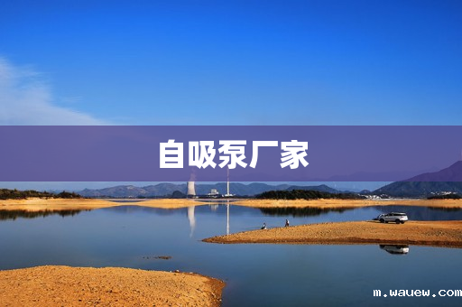 自吸泵厂家 自吸泵厂家