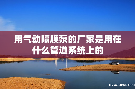 用气动隔膜泵的厂家是用在什么管道系统上的 用气动隔膜泵的厂家是用在什么管道系统上的