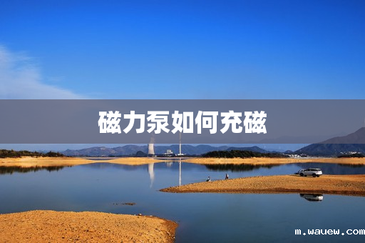 磁力泵如何充磁 磁力泵如何充磁