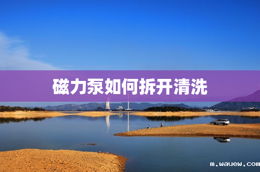 磁力泵如何拆开清洗 磁力泵如何拆开清洗