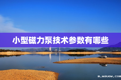 小型磁力泵技术参数有哪些 小型磁力泵技术参数有哪些