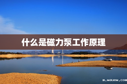 什么是磁力泵工作原理 什么是磁力泵工作原理