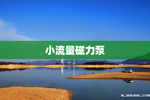 小流量磁力泵 小流量磁力泵