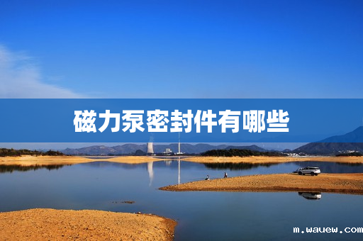 磁力泵密封件有哪些 磁力泵密封件有哪些