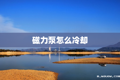 磁力泵怎么冷却 磁力泵怎么冷却