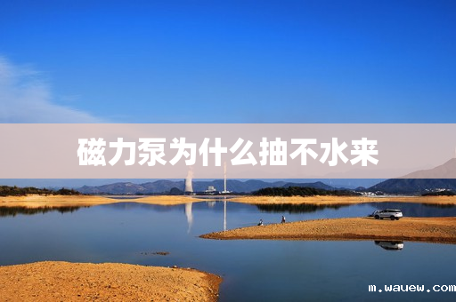 磁力泵为什么抽不水来 磁力泵为什么抽不水来