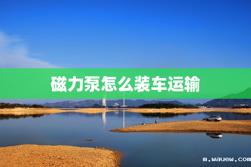 磁力泵怎么装车运输 磁力泵怎么装车运输