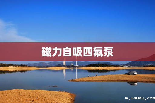 磁力自吸四氟泵 磁力自吸四氟泵