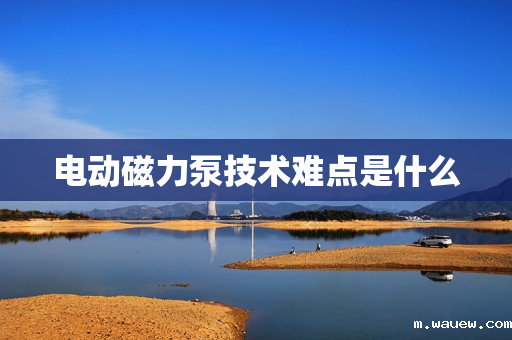 电动磁力泵技术难点是什么 电动磁力泵技术难点是什么