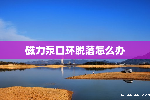 磁力泵口环脱落怎么办 磁力泵口环脱落怎么办