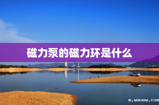 磁力泵的磁力环是什么 磁力泵的磁力环是什么