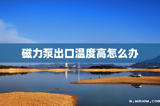 磁力泵出口温度高怎么办 磁力泵出口温度高怎么办