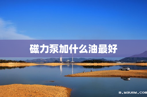 磁力泵加什么油最好 磁力泵加什么油最好
