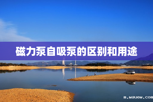 磁力泵自吸泵的区别和用途 磁力泵自吸泵的区别和用途