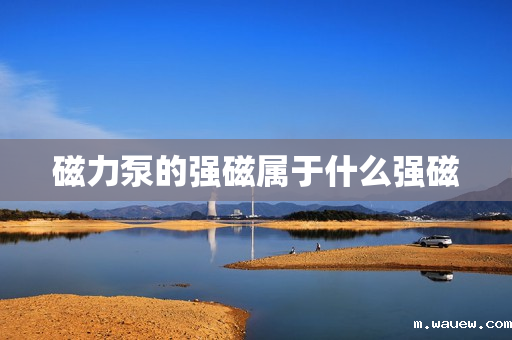 磁力泵的强磁属于什么强磁 磁力泵的强磁属于什么强磁