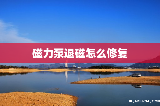 磁力泵退磁怎么修复 磁力泵退磁怎么修复