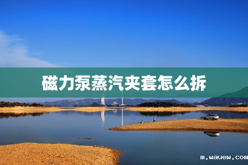 磁力泵蒸汽夹套怎么拆 磁力泵蒸汽夹套怎么拆