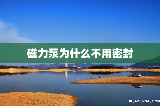 磁力泵为什么不用密封 磁力泵为什么不用密封