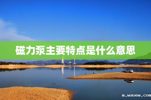 磁力泵主要特点是什么意思 磁力泵主要特点是什么意思