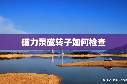 磁力泵磁转子如何检查 磁力泵磁转子如何检查