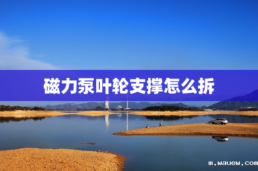 磁力泵叶轮支撑怎么拆 磁力泵叶轮支撑怎么拆