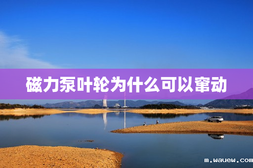 磁力泵叶轮为什么可以窜动 磁力泵叶轮为什么可以窜动