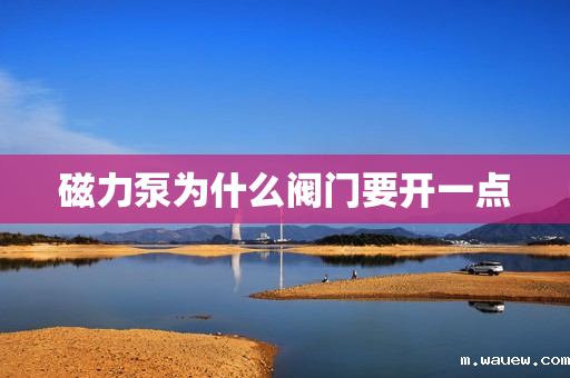 磁力泵为什么阀门要开一点 磁力泵为什么阀门要开一点