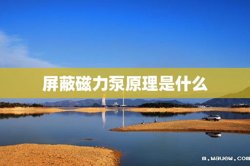 屏蔽磁力泵原理是什么 屏蔽磁力泵原理是什么