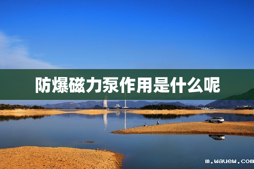 防爆磁力泵作用是什么呢 防爆磁力泵作用是什么呢