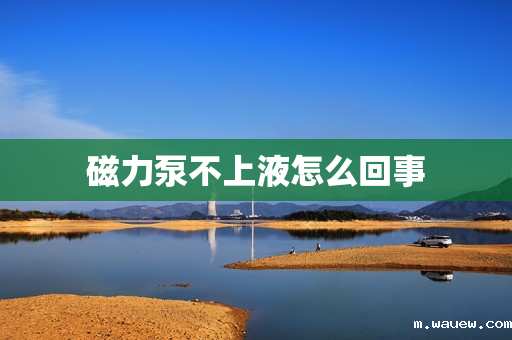 磁力泵不上液怎么回事 磁力泵不上液怎么回事