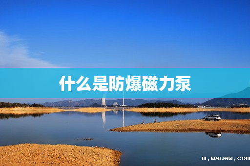 什么是防爆磁力泵 什么是防爆磁力泵