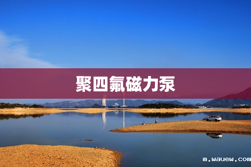 聚四氟磁力泵 聚四氟磁力泵