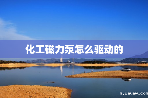 化工磁力泵怎么驱动的 化工磁力泵怎么驱动的