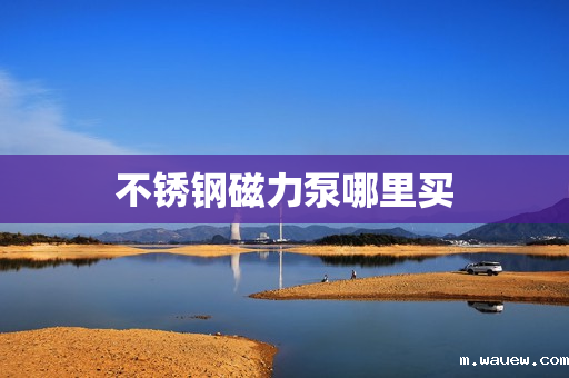 不锈钢磁力泵哪里买 不锈钢磁力泵哪里买