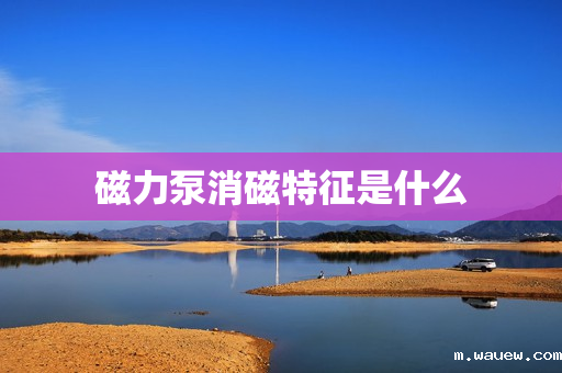 磁力泵消磁特征是什么 磁力泵消磁特征是什么